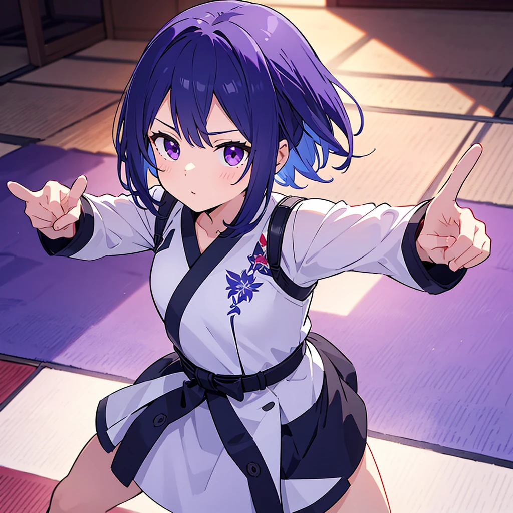 Sole adult woman, short dark blue hair, purple eyes, wearing a white gi with a black belt. best quality, looking at viewer, perfect face, standing in fighting stance on tatami mats, intricate detail, masterpiece, perfect muscular body