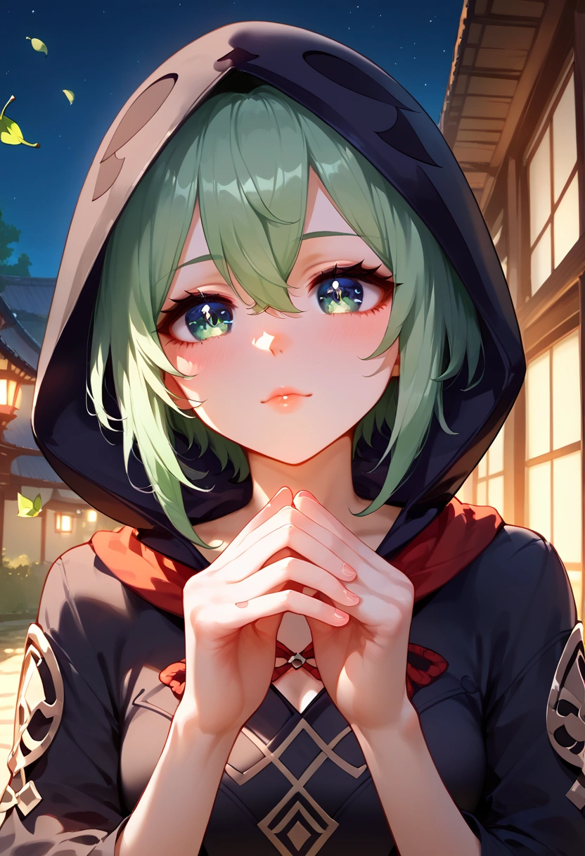 score_9, score_8_up, score_7_up, score_6_up, score_5_up, score_4_up, frontal view, 1women, detailed face, sayu, genshin impact, anemo,hood, hair ornement, beautiful eyes, cute figure, floox style,  high resolution, expressive, cute perfect hands, masterpiece, dynamic lighting, dynamic shadows, solo,  big detailed eyes, Inazuma outdoor, cute ninja suit, leaves fly away; ((in the night))