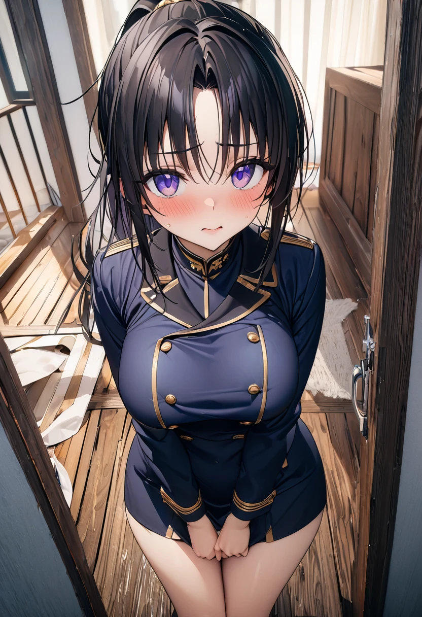 ((masterpiece,Highest quality,8k,Ultra-high resolution)),  1 person　、Adult woman in her 20s　,  Momo Juvenile Deviluke,                                     View your viewers　、　Embarrassed　,                                                             Black Hair　, Long Hair　　、　ponytail　 、(Center parted bangs) 　　、　　　　Light purple eyes   　     　、                           The body is slim,   Big Breasts　　、　Navy Costume　、　deck