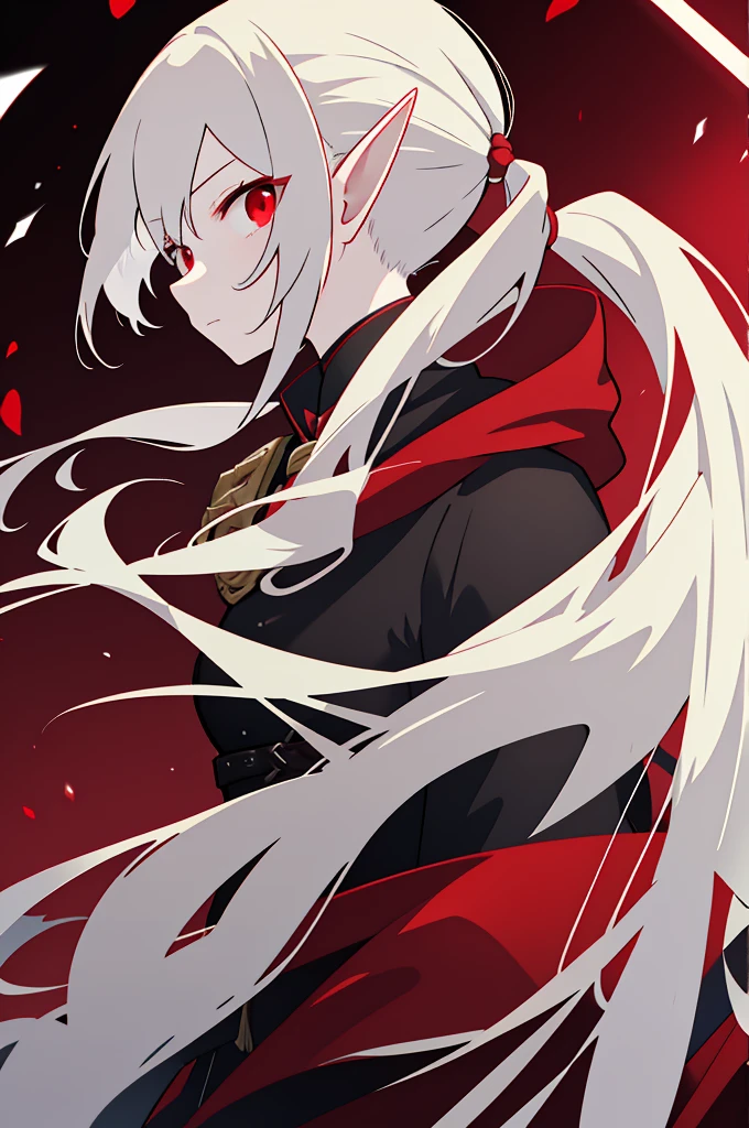 White shoulder-length hair, ponytail, Red eyes, elf, Tough, Wearing a long red jacket, woman, Black Shirt, Red Hood, Red mask, Black gloves