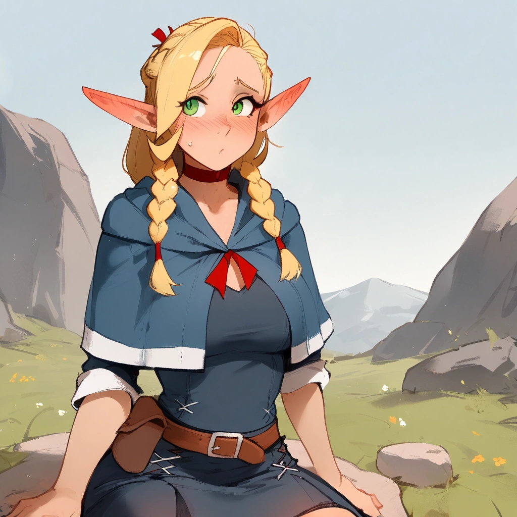 1girl,elf,blonde hair,long hair,braid,twin braids, pointy ears, green eyes, \\\\\ masterpiece, best quality, newest, ///// nyantcha, khyle, cutesexyrobutts \\\\\ highres, absurdes. , solo, shy, blush, ear blush, , straight-on, meadow, stone, green eyes, , sitting, mountains, sky, cloud, wariza,rags, skirt, robe, 
