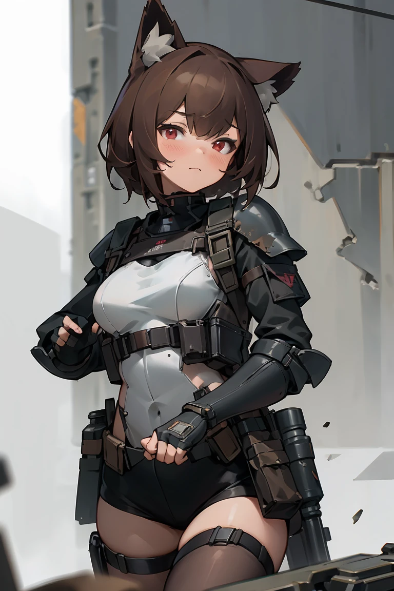 masterpiece, 8k, high quality, 1 girl, cat ears, (face portrait), red eyes, stockings, fingerless gloves, brown hair, (closeup), armor insert, ballistic plate, platecarrier, tactical armor, tactical vest, chest rig, military, bulletproof armor, security equipment, peacekeeper, dystopian, ruined cityscape, cyberpunk