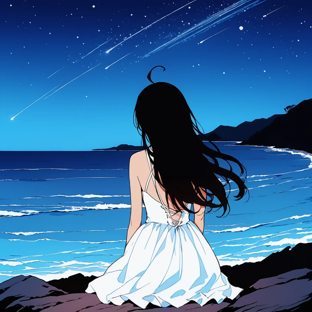 waner\(EOE\),one girl,solo,best quality, masterpiece,break,very high resolution, very aesthetic, by famous artist, 8k, 16k,,beauty illustration,photoshop_(small),,best wallpaper,(silhouette), film grain,(from behind,wide shot),at night,near the ocean,shooting star,(Detailed hair|long hair|ahoge),(wedding dress),(sitting),unaestheticXL_bp5, (negative_v2 Color_Balance_Calibration:0.8), aidxlv05_neg, (SuperQuality:1.0) ~ (SuperQuality:1.2), aid210, SimplePositiveXLv2, boring_sdxl_v1