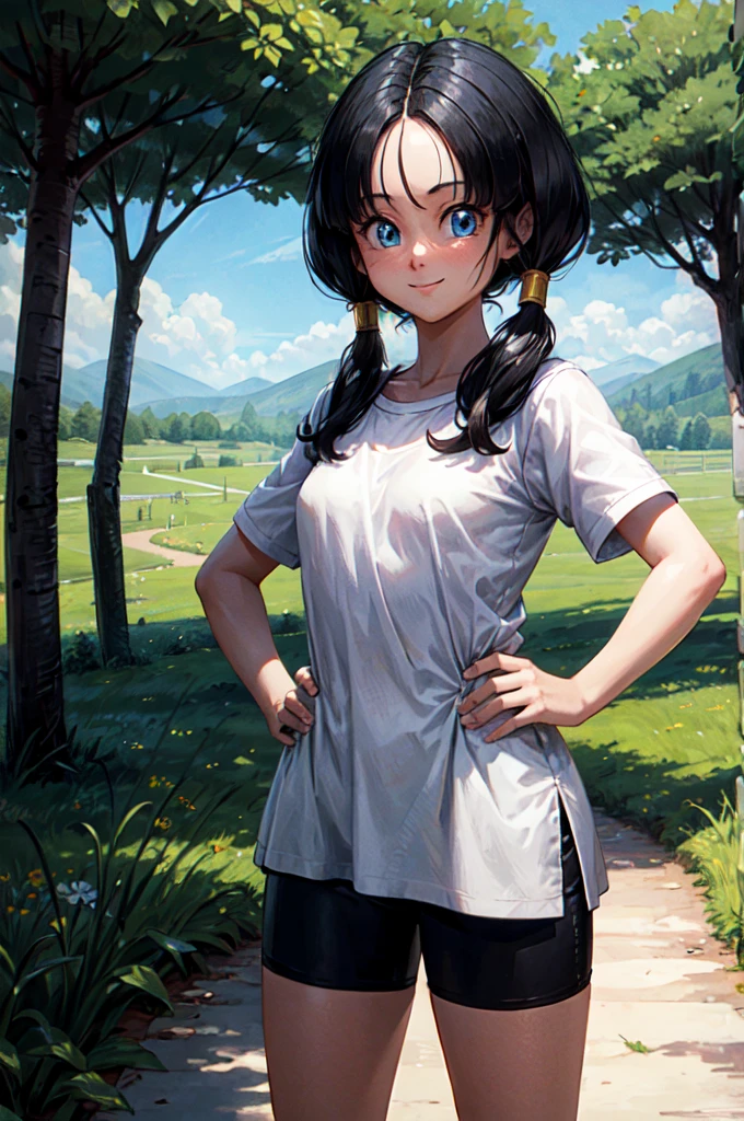 Videl, black twintail hair, blue eyes,long white shirt, tight black shorts, looking at viewer, smiling,
standing, hands on hip, cute, outside, open field, under tree, small mountain, blue sky, extreme detail, hdr, realistic quality, 