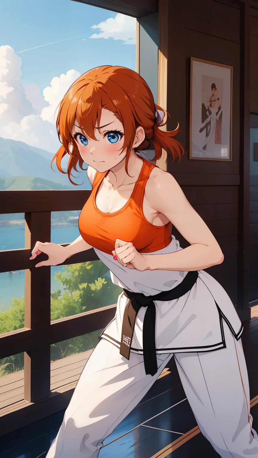 (masterpiece, 最high quality, high quality), whole body,Volumetric lighting, figure, beautiful, Perfect lighting, Perfect Shadow, (Amazing views:1.1), Blushing, In-person audience, Standing,Kousaka Honoka, blue eyes, Orange Hair,Empty-handed,White Karate Custom, Big Breasts, 発sweat, 、Serious、Desperate、A moment of battle、sweat、Karate Kata、defense、Passive、Defend and handle、Thighs、clavicle、Sports Bra、Toned body、force、sense of urgency