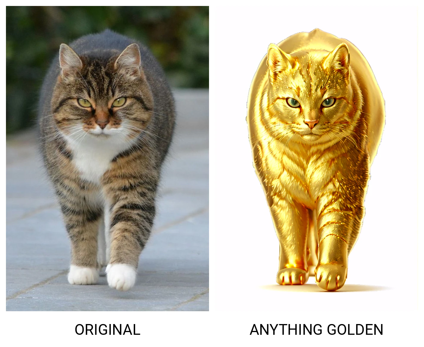 Golden Anything