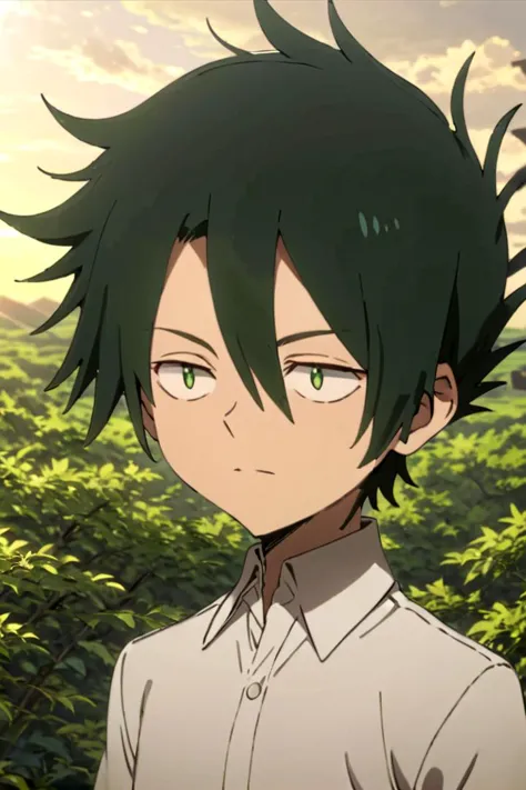 <lora:neverland_ray-000021:0.7>
one 12-year-old boy named neverland_norman, standing alone in outdoors next to green open plains, he has small olive green colored eyes
draw it in the style of The promised Neverland,
The soft lighting and detailed surroundings create an immersive environment where imagination runs wild hyper-detailed,
hyper-detailed face, high quality visuals, dim Lighting, sharply focused, octane render, 8k UHD