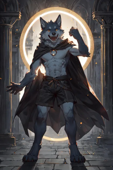 (masterpiece,best quality,perfect anatomy),detailed background,hi res,nj5furry,kemono,
solo,male anthro wolf,cloak,topless,short...