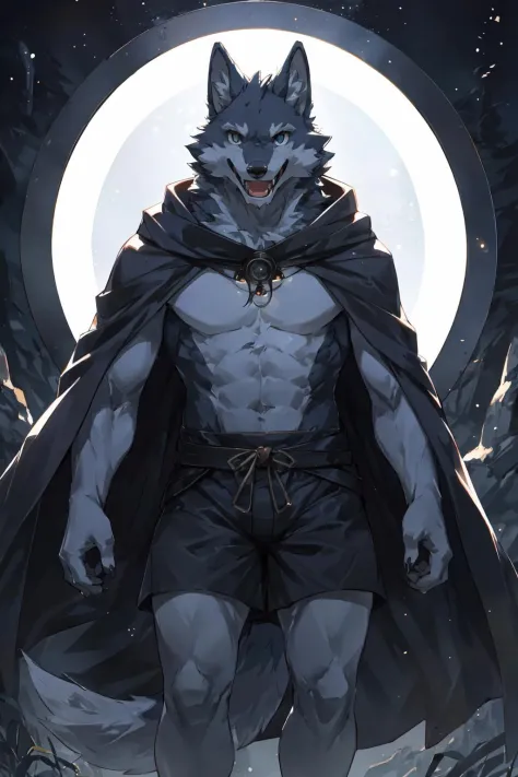 (masterpiece,best quality,perfect anatomy),detailed background,hi res,nj5furry,kemono,
solo,male anthro wolf,cloak,topless,short...