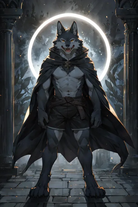 (masterpiece,best quality,perfect anatomy),detailed background,hi res,nj5furry,kemono,
solo,male anthro wolf,cloak,topless,short...