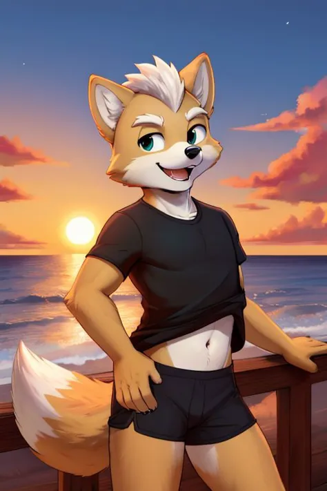 Furry Fox McCloud, black t-shirt, white black, navel, carefree, happy, sunset, evening