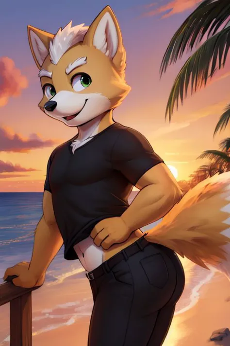 Furry Fox McCloud, black t-shirt, black pants, navel, carefree, happy, sunset, evening, cute butt