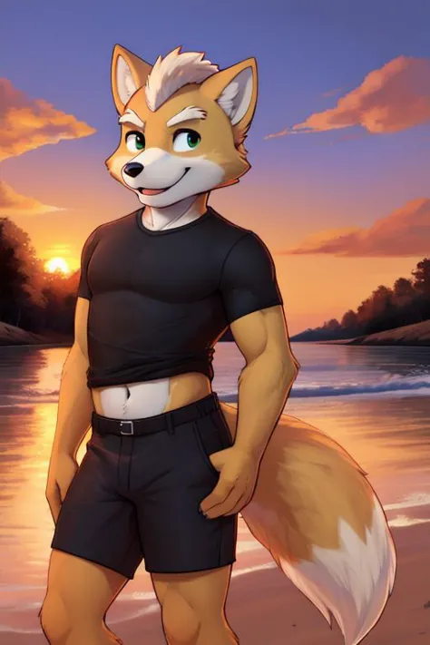 Furry Fox McCloud, black t-shirt, black pants, navel, carefree, happy, sunset, evening, cute butt