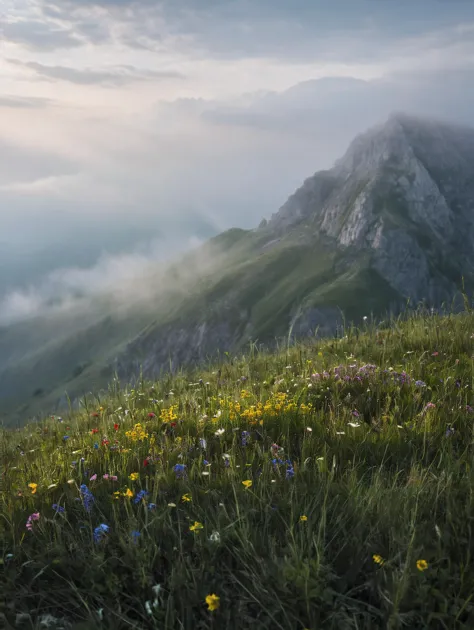 there is a mountain with a grassy field and flowers on it