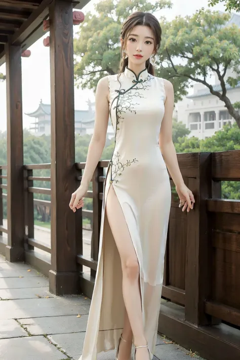 Elegant Qipao