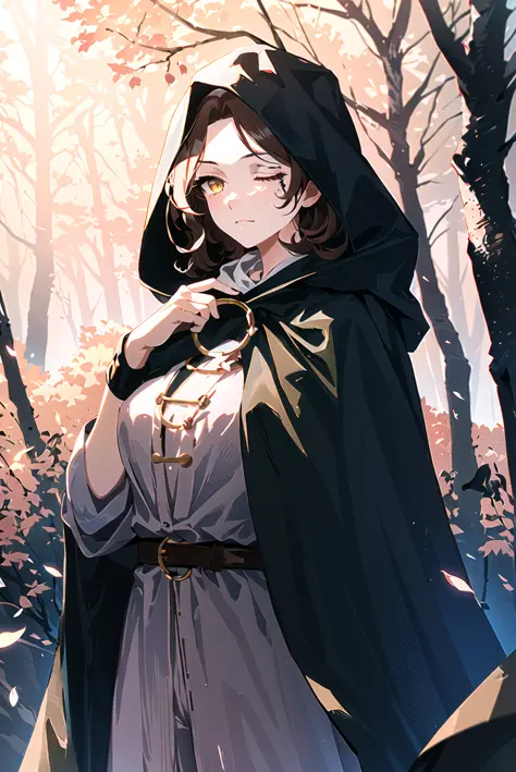 melina \(elden ring\), very detailed background, night, dark, wood, forest, trees,

1girl, black cloak, (brown hair), cape, cloa...