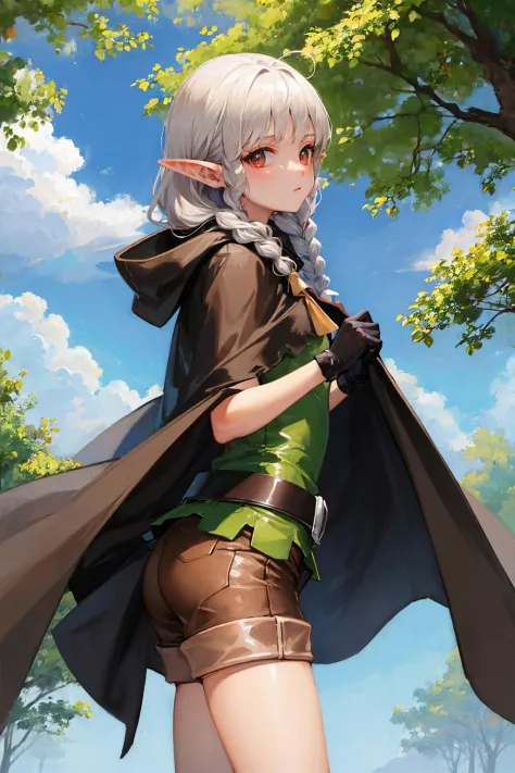 masterpiece, best quality, dcElf, pointy ears, twin braids, brown cloak, green tunic, gloves, belt, brown shorts, from side, loo...