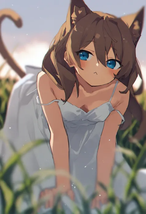 anime girl with blue eyes and a cat tail laying in the grass