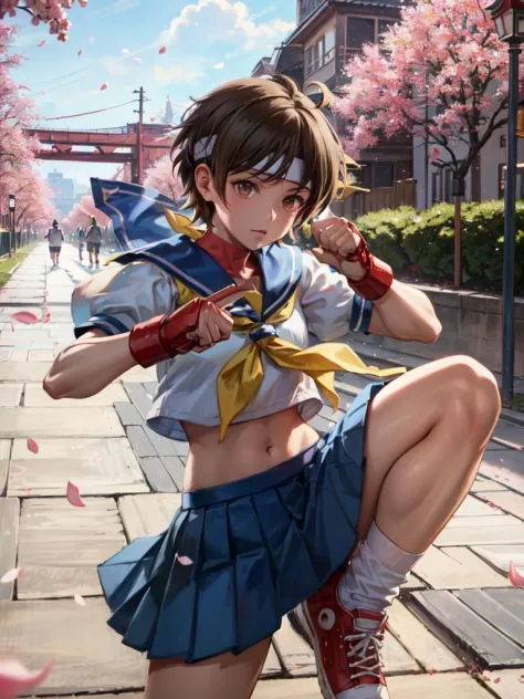 Kasugano Sakura / Street Fighter