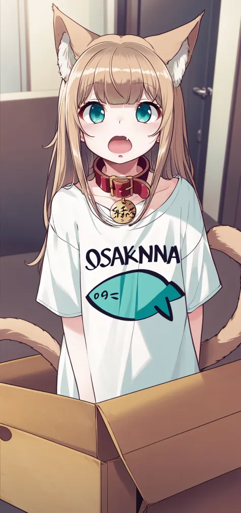masterpiece,best quality, 1girl,solo,a little girl with a shirt that says osakakana , cat ears,cat tail, aqua_eyes, blond hair, animal_collar, cat girl, bangs, t-shirt ,oversized_shirt, red_collar ,clothes_writing,in box,open_mouth,   <lora:Osakana_loRa2_3...
