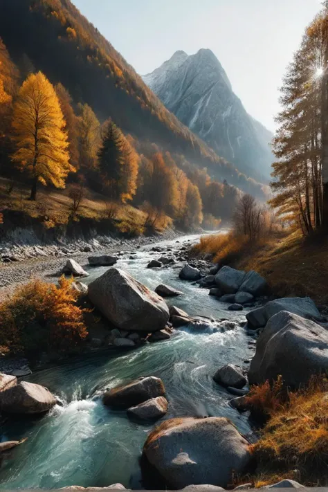 there is a rocky river running through a forest filled with trees, a picture by matthias weischer, unsplash contest winner, fine...