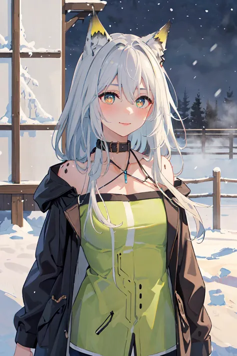 anime girl with white hair and green top in the snow