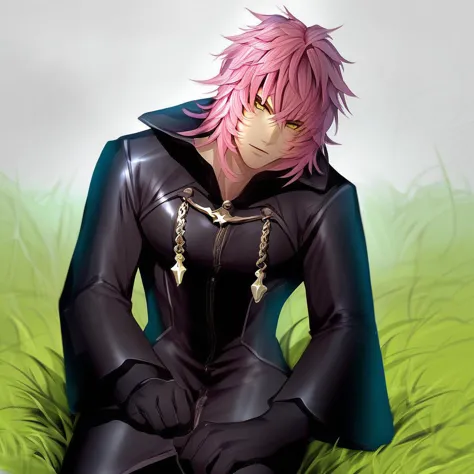 score_9, Marluxia, 1boy, solo, male focus, pink hair, yellow eyes, coat, black coat, gloves, black gloves, sitting, outdoors, on grass,