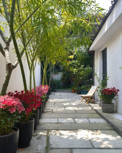 there are many potted plants in the courtyard of a house