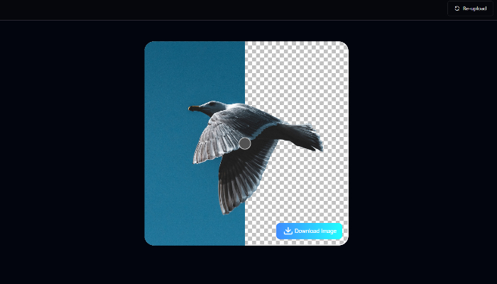 remove the background of a bird image with SeaArt's background remover tool