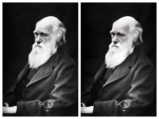 restore old photos - Charles Darwin