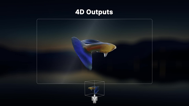 A fish - 4D Outputs