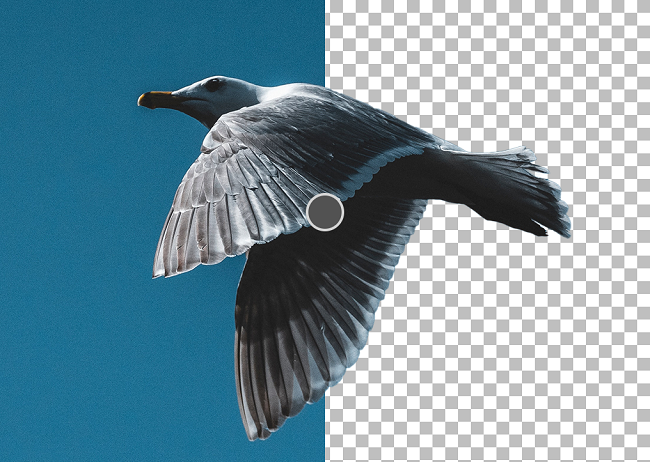 Image background remove rendering